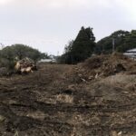 丹納郷中古戸建　土地９７０坪！ 画像9