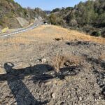 売り土地！平山郷　6,198㎡ 画像3