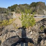 売り土地！平山郷　6,198㎡ 画像7