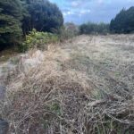 木場郷売地2,246平米 679.41坪 500万円 画像8 木場郷売地2,246平米 679.41坪 500万円 画像8