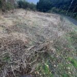 木場郷売地2,246平米 679.41坪 500万円 画像7 木場郷売地2,246平米 679.41坪 500万円 画像7