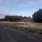 木場郷売地2,246平米 679.41坪 500万円 画像1 木場郷売地2,246平米 679.41坪 500万円 画像1