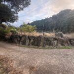 木場郷売地2,246平米 679.41坪 500万円 画像9 木場郷売地2,246平米 679.41坪 500万円 画像9