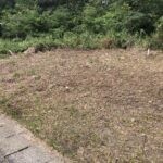八木原郷貸し土地　月額３万円！ 画像6